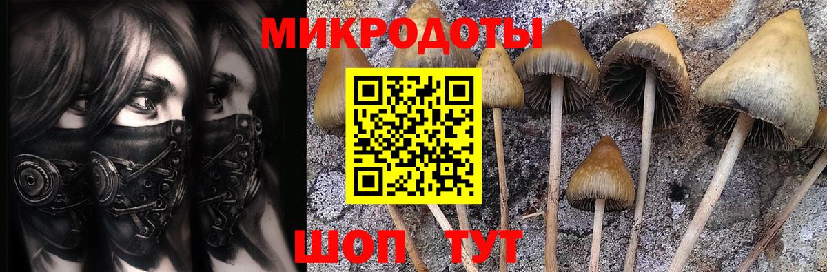 Псилоцибиновые грибы MAGIC MUSHROOMS  Вход с VPN  наркотики  Сыктывкар 